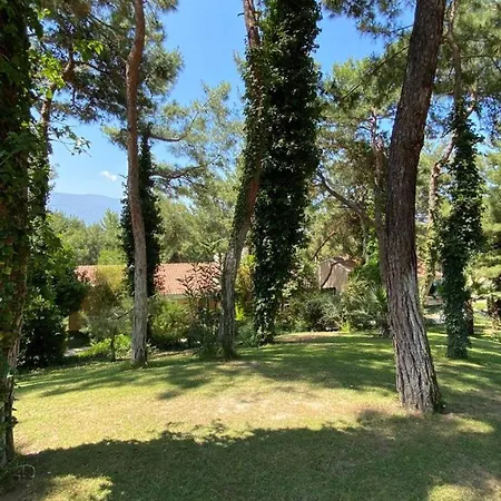 Gasthof Pine Club Apart Kusadası