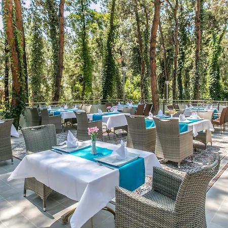 Pine Club Apart Gasthof