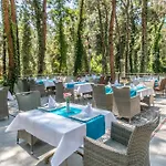 Pine Club Apart Pensionat