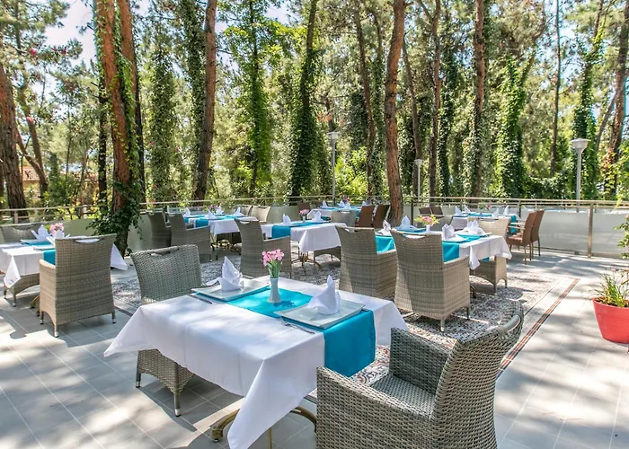 Pine Club Apart بيت ضيافة