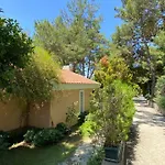 Pine Club Apart Vendégház 4*