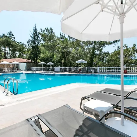 Гостевой дом Pine Club Apart 4*