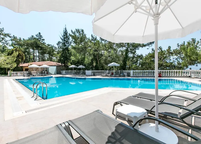Vendégház Pine Club Apart 4*
