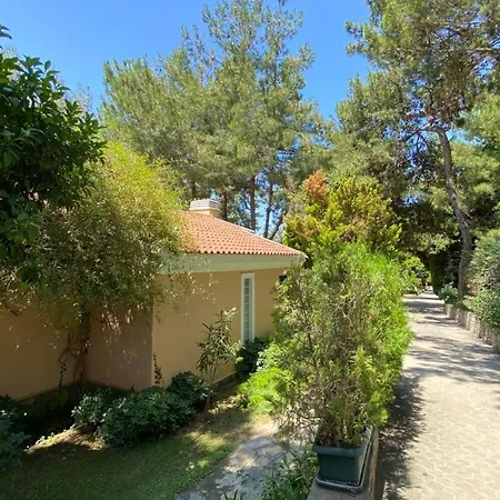 Pine Club Apart Guest house 4*